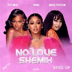 Pochette No Love Shemix (sped up)