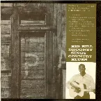 Pochette Big Bill Broonzy Sings Country Blues