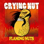 Pochette Flaming Nuts