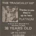Pochette 38 Years Old
