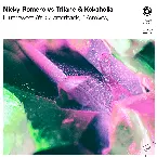 Pochette Bittersweet (remixes)