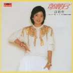 Pochette 鄧麗君演唱會