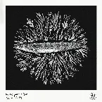 Pochette Kujira / Parity