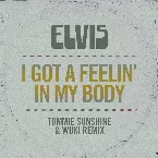Pochette I Got a Feelin’ in My Body (Tommie Sunshine & Wuki Remix)