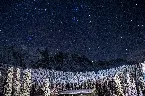 Pochette A Blanket of White in the Night