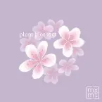 Pochette plum blossom