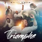 Pochette Triomphe