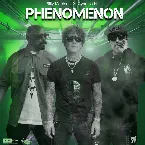 Pochette Phenomenon