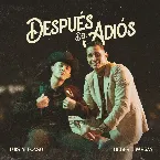 Pochette Después Del Adiós (Remix)
