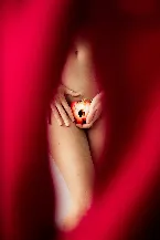 Pochette The Grand Illusion of Conscious Cavities