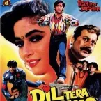 Pochette Dil Tera Aashiq
