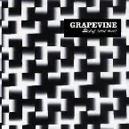 Pochette Best of GRAPEVINE 1997-2012