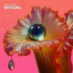 Pochette fabric presents Shygirl