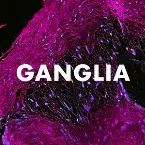 Pochette Ganglia