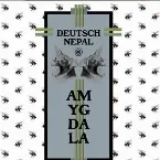 Pochette Amygdala
