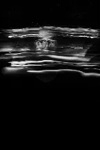 Pochette Looking at the World From Within a Veil of Lackadaisical Emptiness