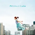 Pochette 時のシルエット