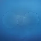 Pochette Little Bubble (edit)
