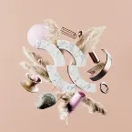 Pochette Need Somebody