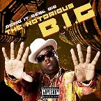 Pochette Doing It Real Big