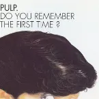 Pochette Do You Remember the First Time?