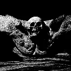 Pochette The Atrocious Silence of Our Wounds