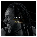 Pochette Felicidade Agora