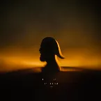 Pochette Solipsism Redux