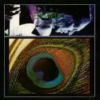 Pochette O romance do pavão mysteriozo