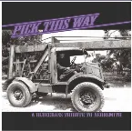 Pochette Pick This Way: A Bluegrass Tribute to Aerosmith