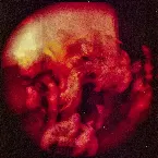 Pochette Nobody Wants You (Brogan Remix)