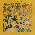 Pochette Open Your Heart