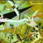 Pochette Flux Capacitor