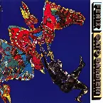 Pochette Fenix