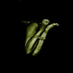 Pochette The Genocidal Deliverance