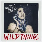 Pochette Wild Things (the remixes)