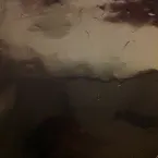 Pochette May (Part 2)