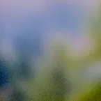 Pochette Haze & Hazel