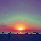 Pochette Lovely (Hippie Sabotage Flip)