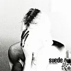 Pochette Disintegrate