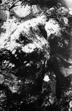Pochette Darkness Enshrouded the Mist / Mons Veneris