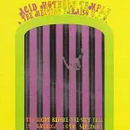 Pochette The Night Before the Sky Fell in America