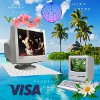 Pochette 植物性VEGETAL™/COMPUTERISMコンピュータ主義™