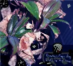 Pochette Cats in My Head EP