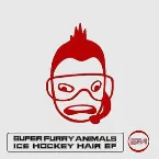 Pochette Ice Hockey Hair EP