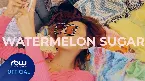 Pochette Watermelon Sugar