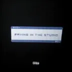 Pochette Raving In The Studio