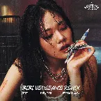 Pochette BIBI Vengeance (remix)
