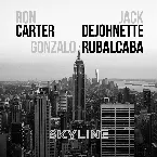 Pochette Skyline