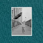 Pochette Wallflower (Dan Kye edit)